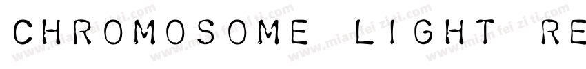 Chromosome Light Regular字体转换